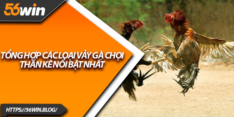 Tổng hợp các loại vảy gà chọi thần kê nổi bật nhất